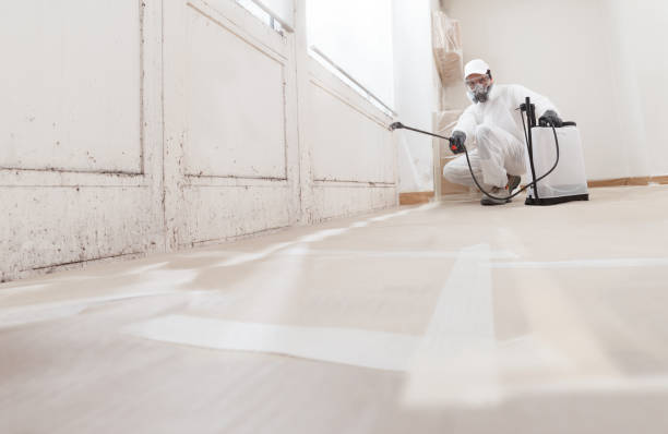 24/7 Emergency Mold Cleanup experts in Leesburg, FL