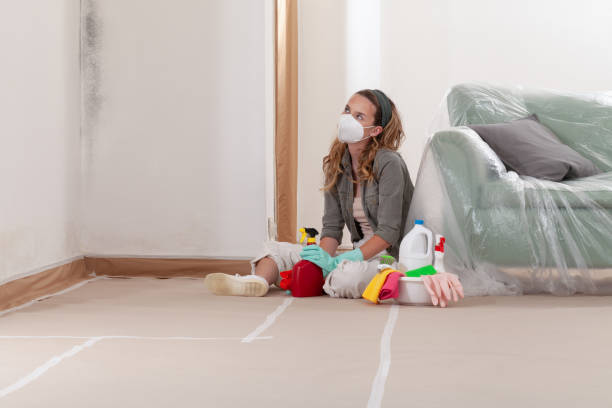 Reliable Mold Cleanup contractor in Leesburg, FL by Cheap Mold Removal